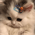 https://i.ibb.co/d4MJ8x1g/crGAzEw.gif