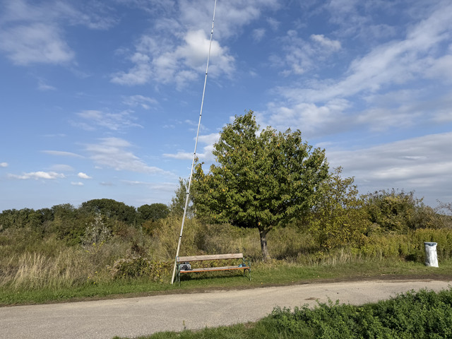 IMG-0805.jpg