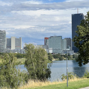 IMG-8721