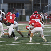 IMG-8812