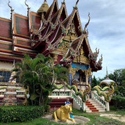 IMG-1511
