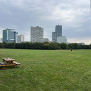 IMG-1663