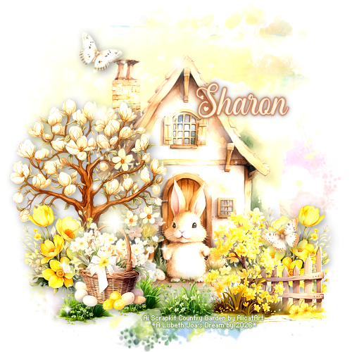 Sharon 94ºBanner.png