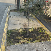 IMG-7242