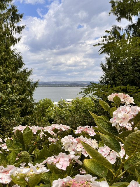 IMG-7044