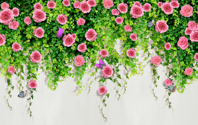 shutterstock 1500348548.jpg