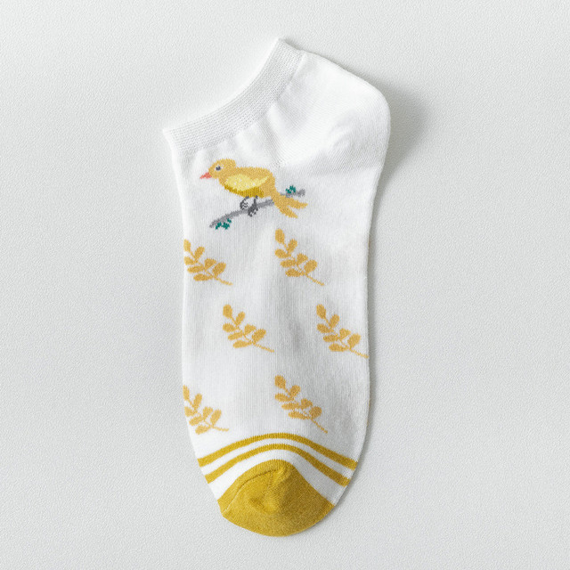 https://i.ibb.co/d4WSpvS/40540785.jpg