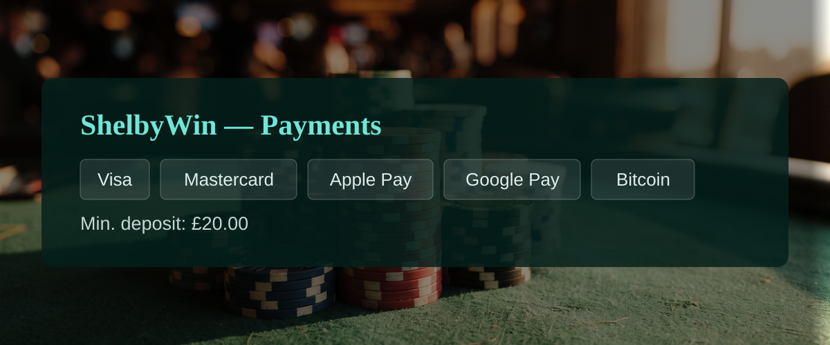 ShelbyWin — Payments: Visa, Mastercard, Apple Pay, Google Pay, Bitcoin