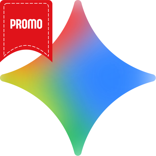 Gemini Pro 24H Offer