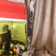 IMG-4075