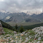 DSC00386 (2)