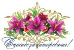 99ce90fb6997x