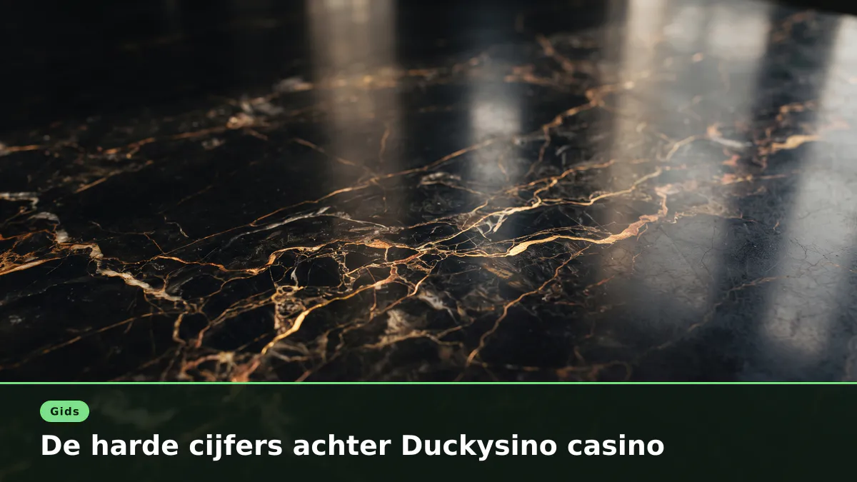De harde cijfers achter Duckysino casino