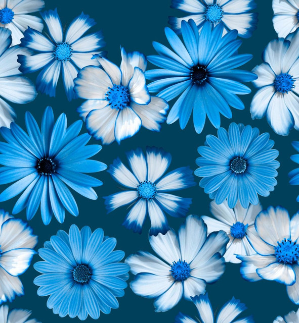 df7abb8d2d6bdb0bb7670ba0ae1185bf.jpg