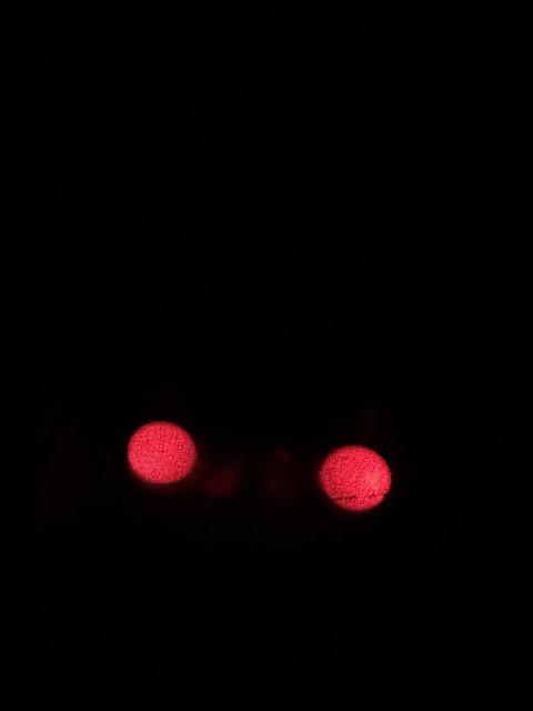 IMG-0069