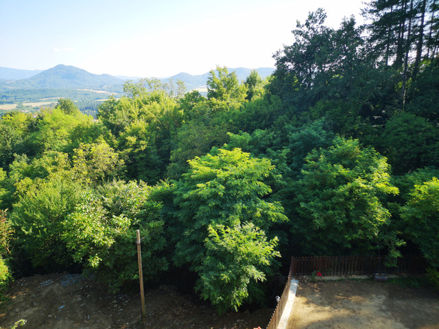 IMG-20230723-171653