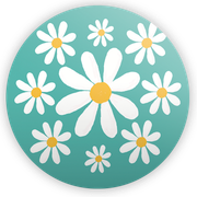 207256-Flor-Margarida