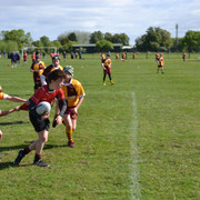 DSC-0141