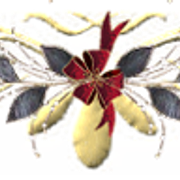 fgfg