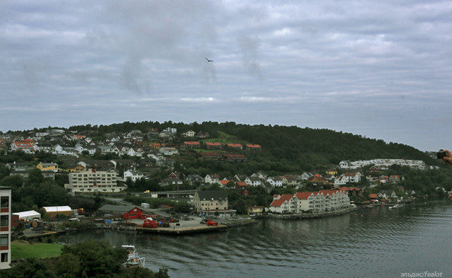 IMG-2023-edit