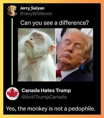 45333887.jpg