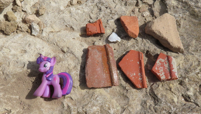 sherds.jpg