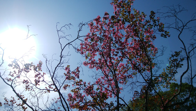 DSC-0020