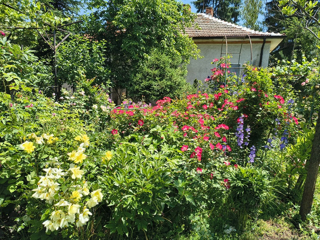 garden.jpg