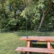 IMG-9095
