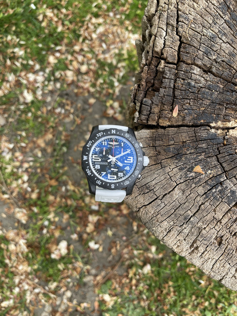 Nouvelle collection Endurance pro - Page 6 IMG-3977
