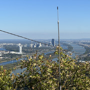 IMG-1916