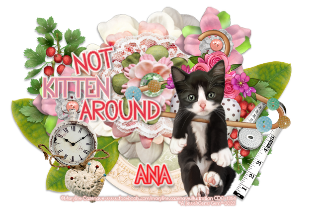 ana-LE-mctag