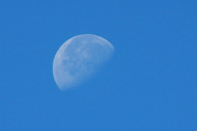 P9250362