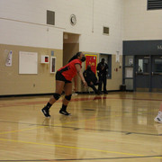 IMG-0105