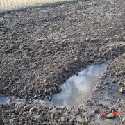 2008-12-06-074