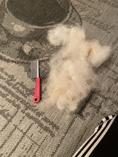 71-AAF949-7-C6-B-48-C3-B15-D-8-D9-A6576-