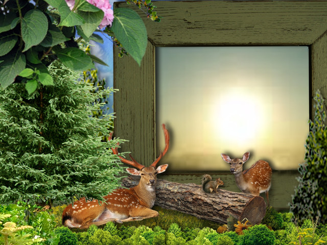 Nature-Love