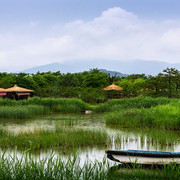 koreja