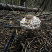DSC00319