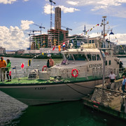 IMGP3105