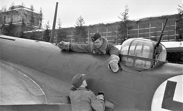 Finnish-Blenheim