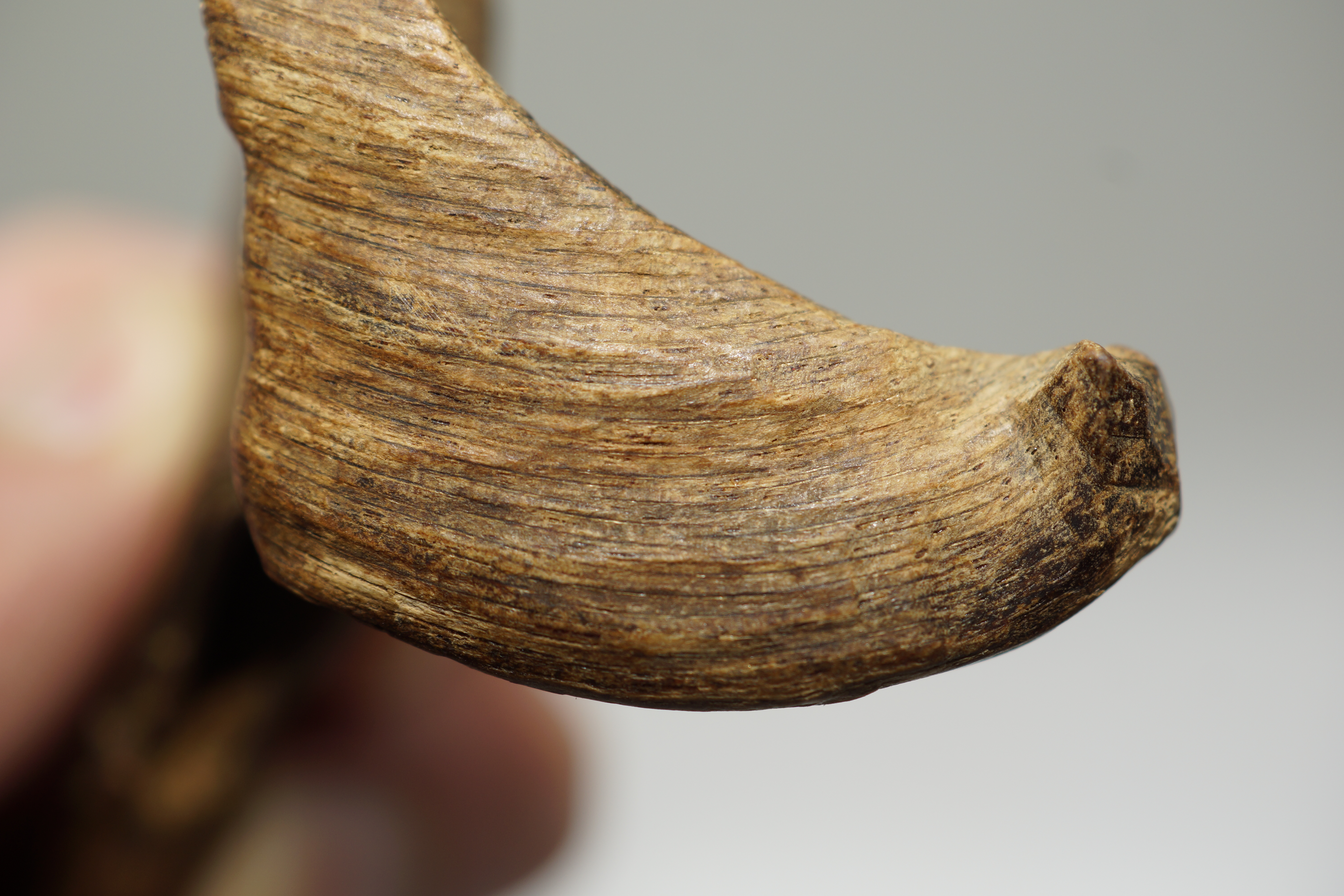 [Ouddict.com] Oud Photos