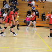 IMG-0333