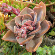 IMG-7874