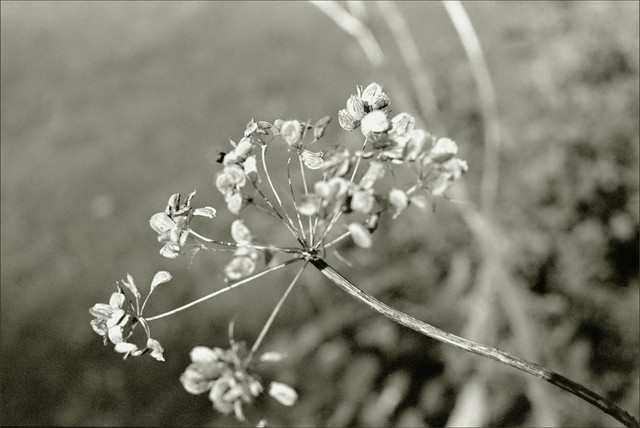 Scan-120910-0019.jpg