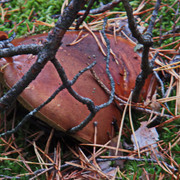 PA010155