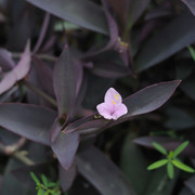 DSC-6855