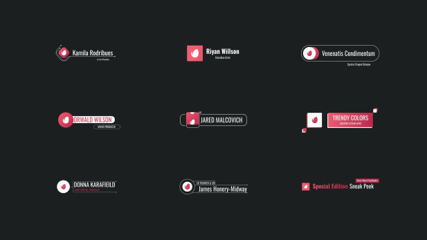 Professional Logo Lower Thirds Set Professional Logo Lower Thirds Set