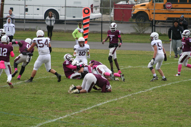 IMG-0291.jpg