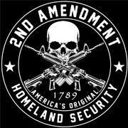 2nd-Amendment-Skull